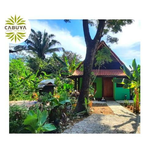 Cabuya Lodge