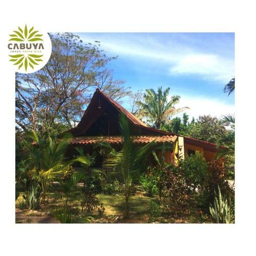 Cabuya Lodge