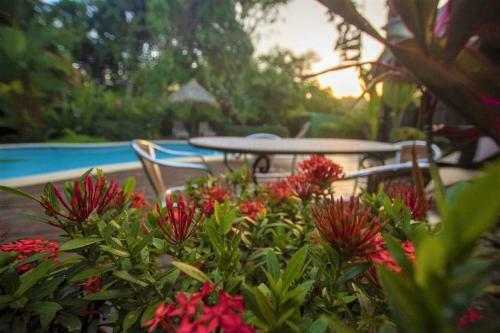 La Casa Del Mango, Ocean And Mountain Views & Pool