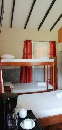 Kingfisher Lodge & Tours