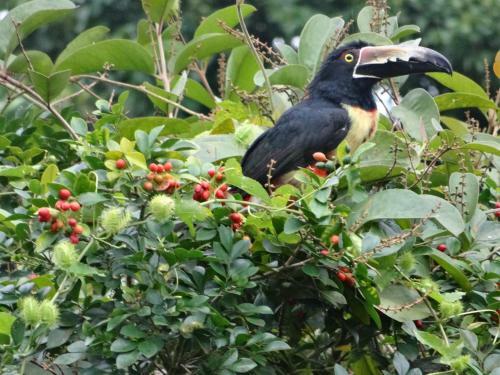 Kingfisher Lodge & Tours