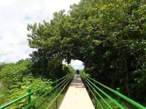 Kingfisher Lodge & Tours