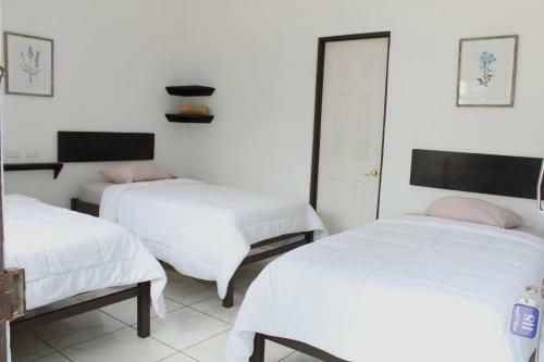 Hotel Ca�as