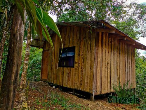 Hotel Citronela Lodge Corcovado