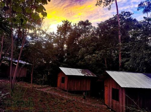 Hotel Citronela Lodge Corcovado