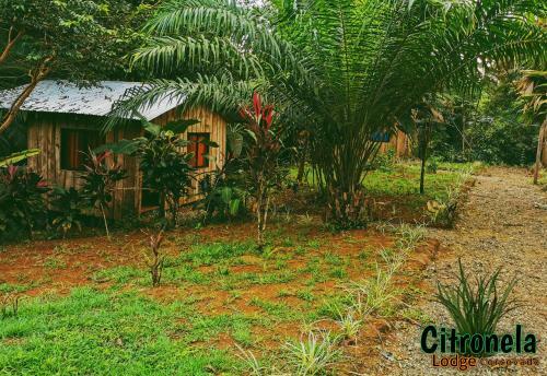 Hotel Citronela Lodge Corcovado