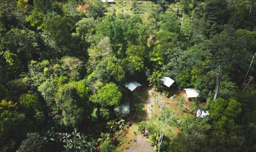 Hotel Citronela Lodge Corcovado