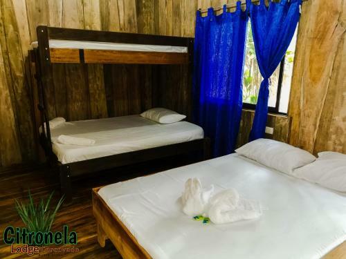 Hotel Citronela Lodge Corcovado