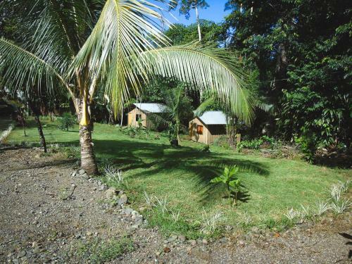 Hotel Citronela Lodge Corcovado