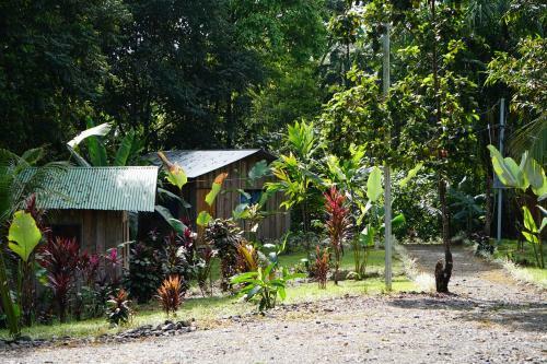 Hotel Citronela Lodge Corcovado
