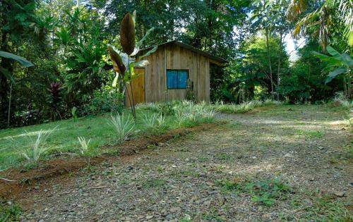 Hotel Citronela Lodge Corcovado