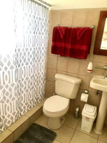 Apartamento Los Torres Studios No 1