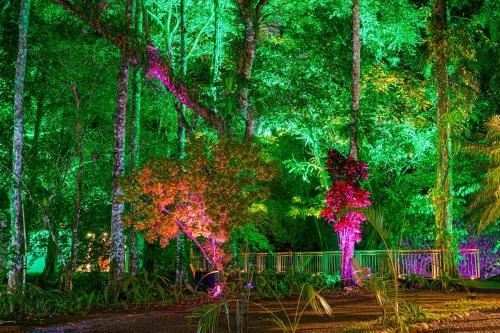 Hotel Noah's Forest By Tifakara