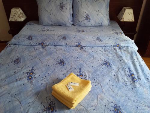 Hostal Casa Merisor