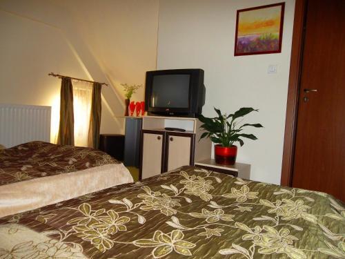Hostal Pension Casa Sibianului