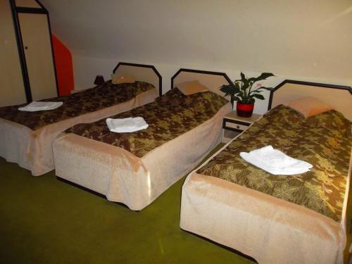 Hostal Pension Casa Sibianului