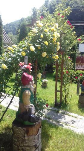 Hostal Pensiunea Doru