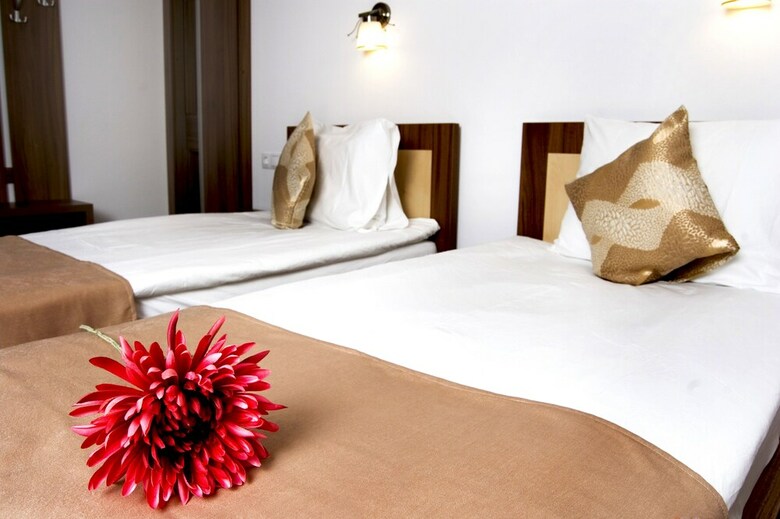 Hostal Pensiunea Transilvania