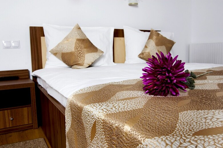 Hostal Pensiunea Transilvania