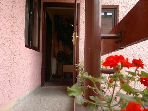 Hostal Pensiunea Podul Minciunilor
