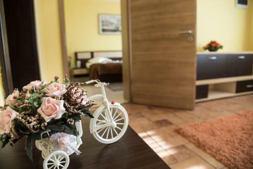 Hostal Pensiunea Carmen