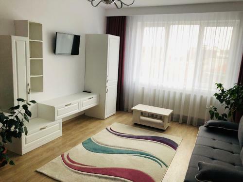 Apartamento Pensiunea Amso