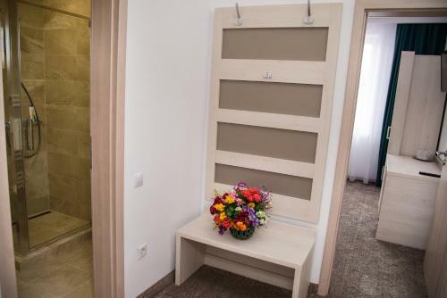 Apartamento Pensiunea Amso
