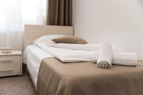 Apartamento Pensiunea Amso