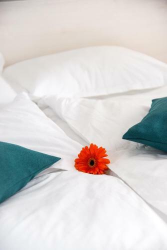 Apartamento Pensiunea Amso