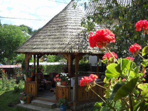 Hostal Pensiunea Denisa