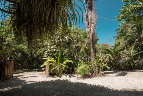 Villa Havana