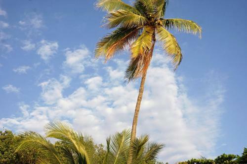 Villa Havana