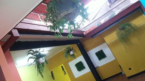 Bed & Breakfast Hospedaje Zardy