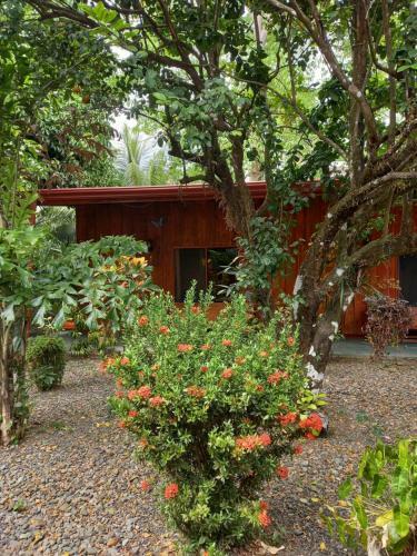 Peter Pan Apartament And Bungalow