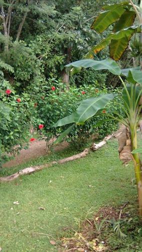 Hostal Soul Fire Casitas