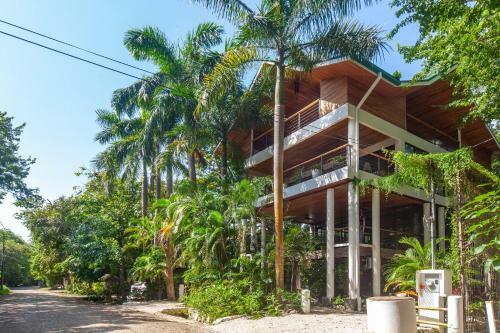 Nosara Tree House