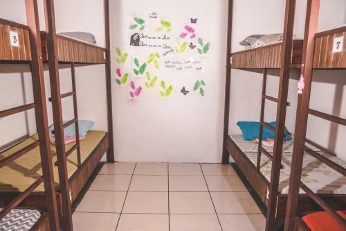 Apartamento Passiflora's