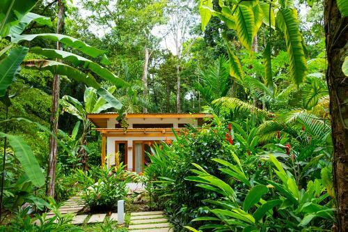 Bed & Breakfast La Paz Del Caribe