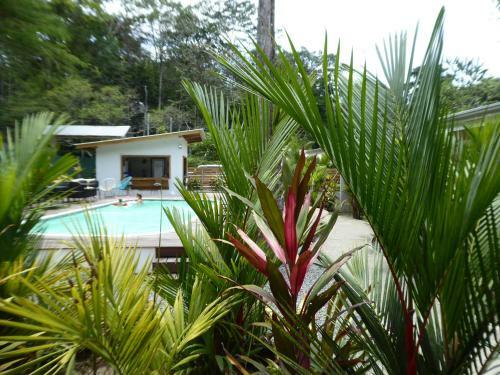 Apartamento Alloro Jungle Villas