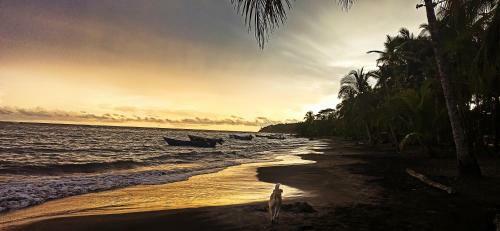 Albergue Colores Seafront