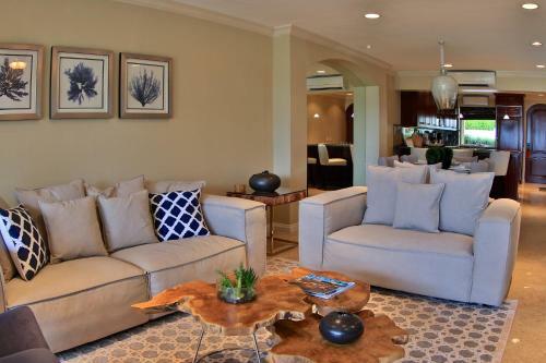 Palms 19
