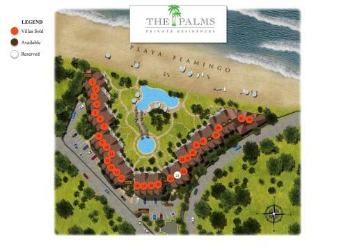 Palms 12