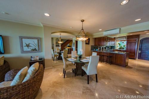 Palms 12