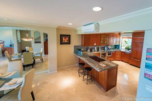 Palms 12