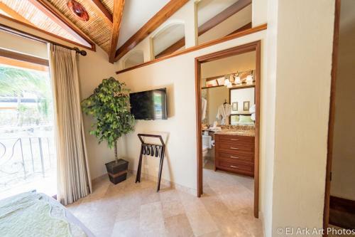 Palms 12