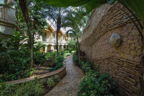 Palms 30