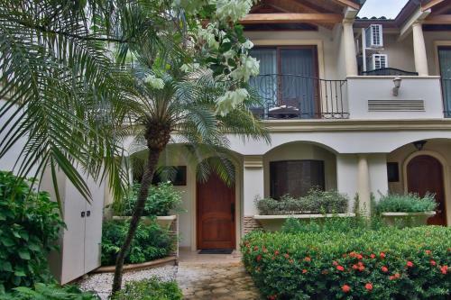 Palms 30