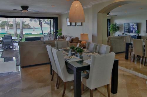 Palms 30