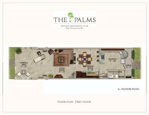 Palms 27