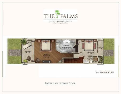 Palms 27